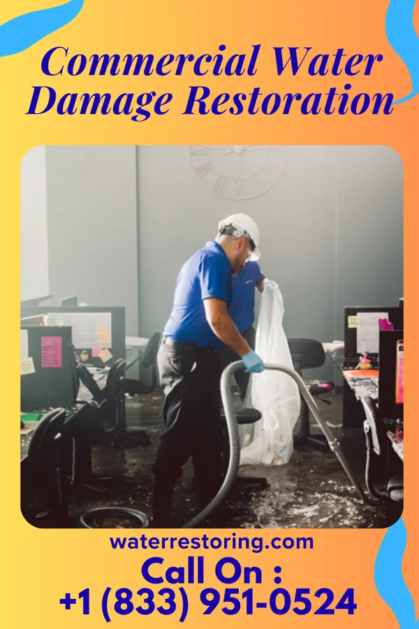 Commercial Water Damage Restoration in Menlo, IA