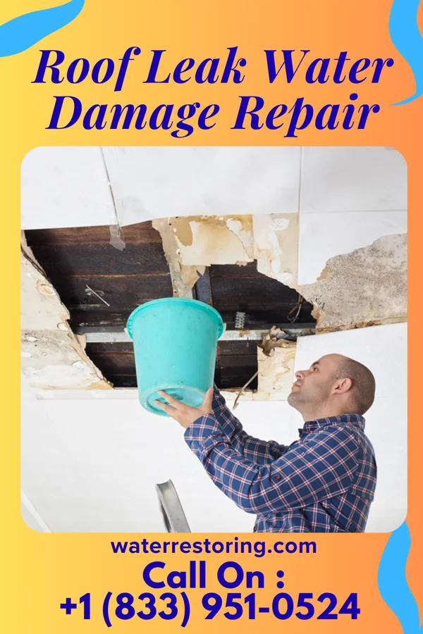 Roof Leak Water Damage Repair in Menlo, IA
