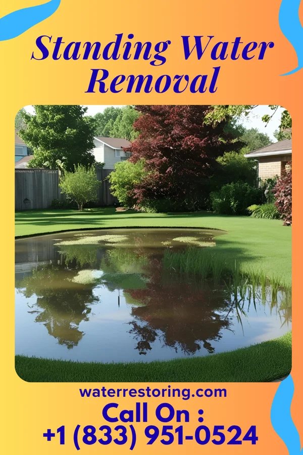 Standing Water Removal in Menlo, IA